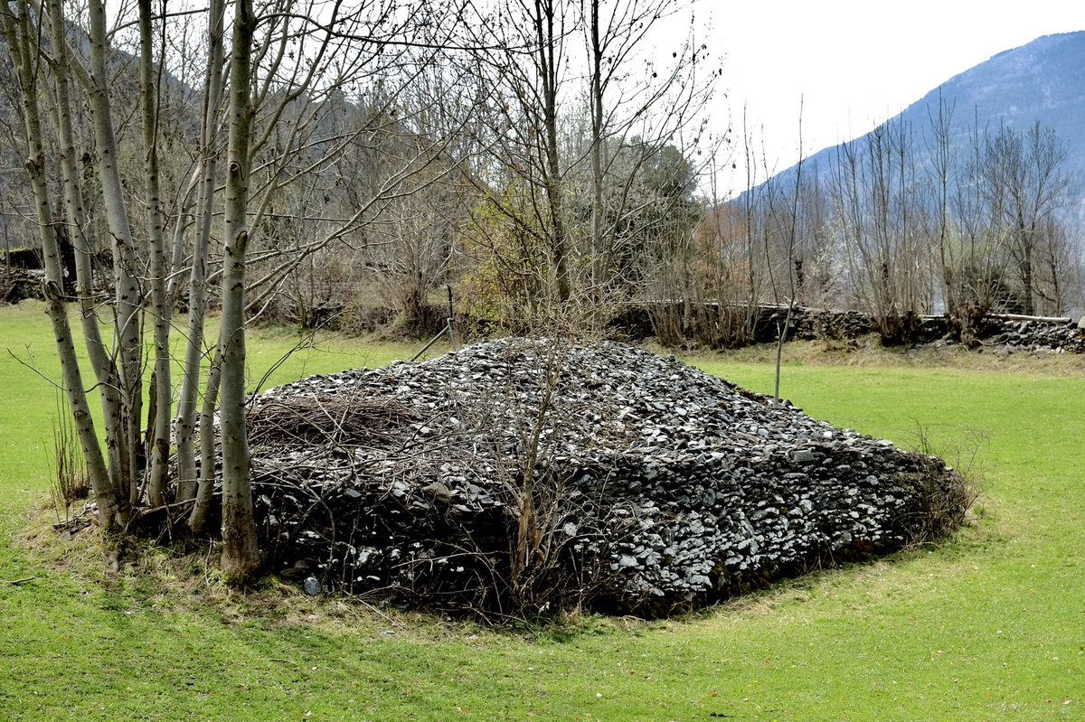 xavialtaneu's tweet photo. A Arrós de Cardós trobem al mig d’un prat aquesta construcció de pedra seca anomenada tarter al Pallars, o claper fora d’ell. Testimoni d’una època en què els pagesos despedregaven els camps de cereals i amuntegaven el pedruscall.
#etnografiapirinenca #Cardós #pedrasecapirineu https://t.co/mjQNBior0K