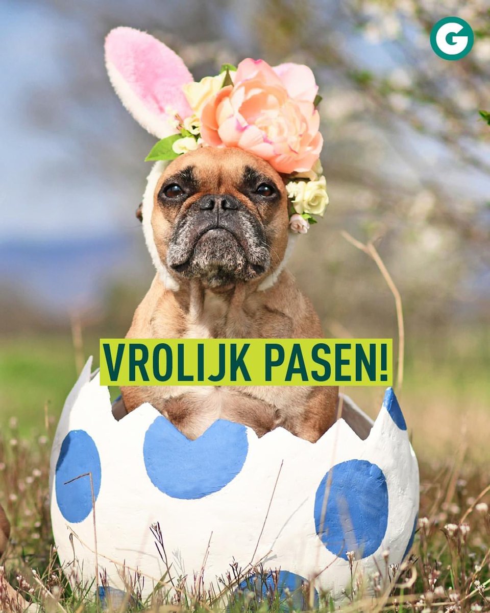 GroenBoutersem's tweet image. We wensen iedereen een Zalige Paasdag toe. De zon is alvast van de partij ☀️