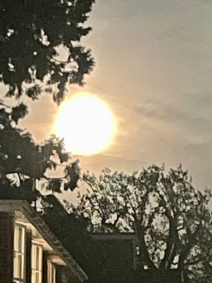 NikkiC360's tweet photo. #aprilpinkmoon #PinkMoon #Moon 🖤 https://t.co/i5hbQXKNPi
