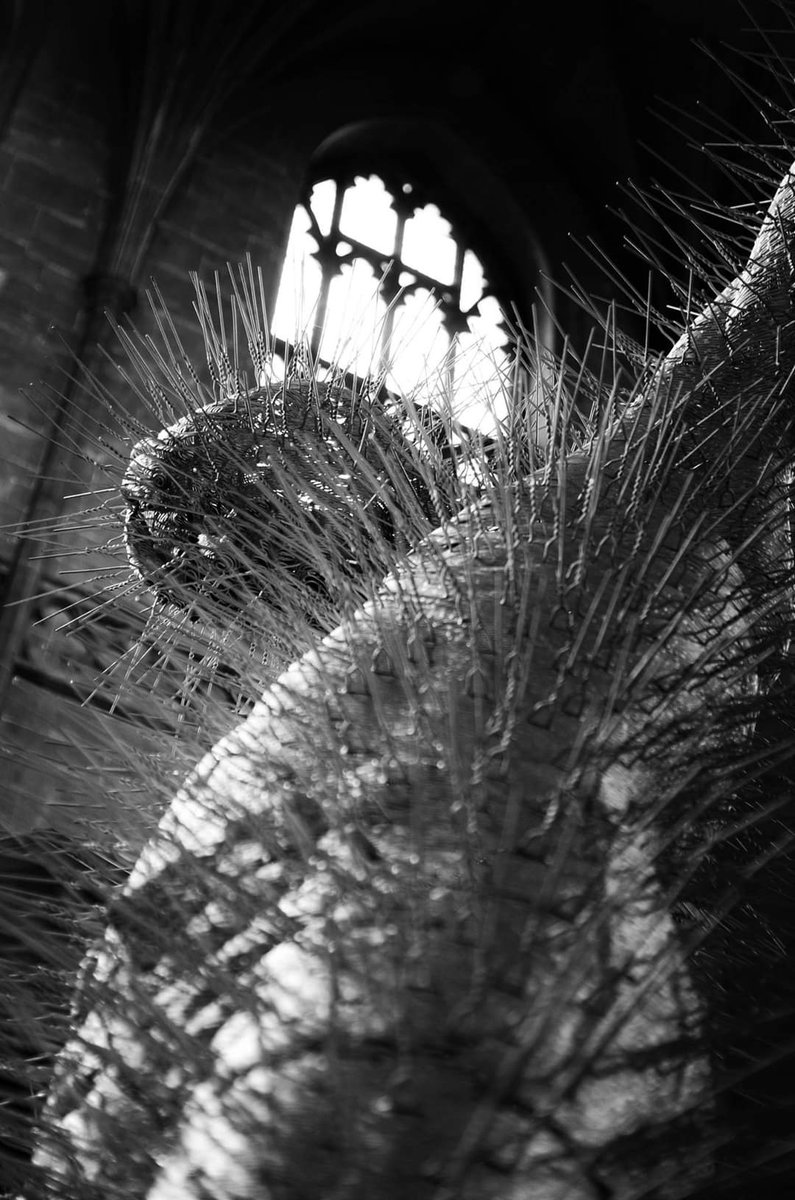 PaulMos02436367's tweet image. It is done 😊