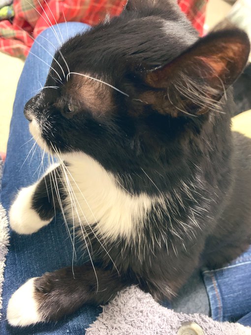 このまましばらく事務作業 