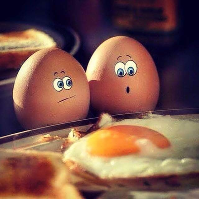 dewicomnl's tweet photo. Fijne Paasdagen.
Happy Easter.👊 https://t.co/mNEC5Fx0GH