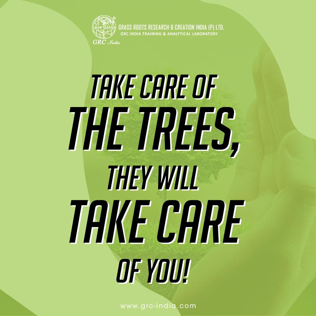 GRCIndia_EIA's tweet photo. Trees help clean the air we breathe, filter the water we drink, and provide habitat to over 80% of the world's terrestrial biodiversity.
Visit : https://t.co/i6YupPW7Ab
.
.
#saveplanet #saveearth #earthfirst #saveplanet #planetimpact #sustainabilitythatcounts #grc #grcindia https://t.co/ZpDlOTo4Tg