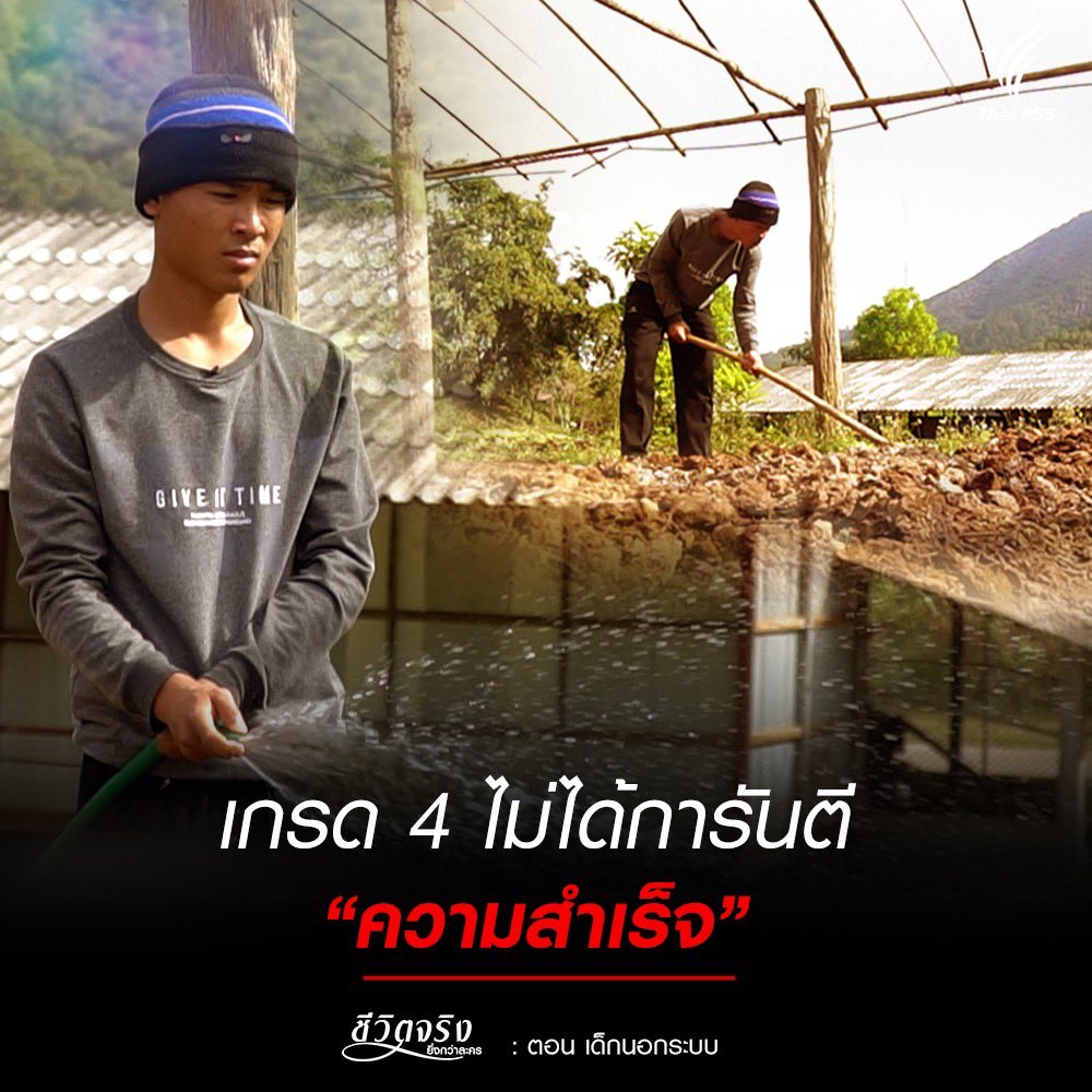 chiwitjing's tweet photo. #ชีวิตจริงยิ่งกว่าละคร ตอน #เด็กนอกระบบ
อังคารที่ 19 เมษายน 2565 เวลา 21.45 น. ทางไทยพีบีเอส
IG : @chiwitjing
FB : @chiwitjingthaipbs
Twitter : @chiwitjing
Tiktok :@Chiwitjungthaipbs
#ThaiPBS #ช่องหมายเลข3 #เด็กนอกระบบ #dropout #แม่แจ่ม #การศึกษาไทย #เชียงใหม่ https://t.co/ey3Qlvp7y2