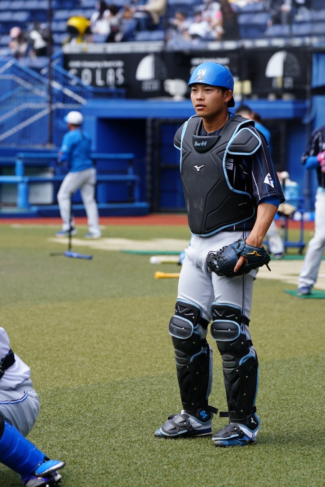 日ハム ファイターズ モモンガ 田宮裕涼 64 2体セット モモンガぬいぐるみ 日本ハムFIGHTERS 64 田宮裕涼 - メルカリ