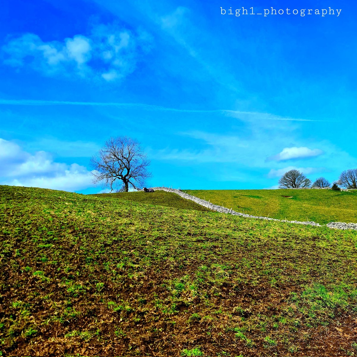 BighPhotography's tweet photo. https://t.co/wkSlMH2YyF