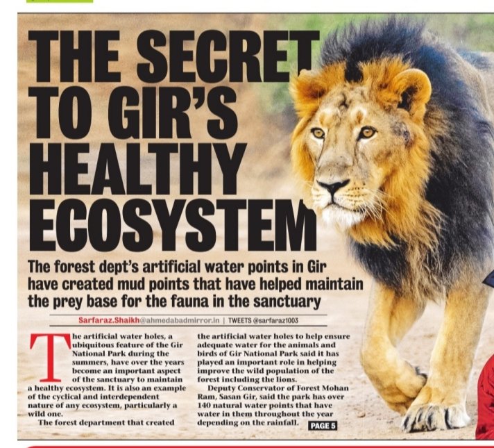 sarfaraz1003's tweet photo. #AhmedabadMirror The secret of #Gir. #MudPoints adds to the  healthy #Ecosystem of #GirNationalPark .@CMOGuj .@GujForestDept .@collectorjunag .@mpparimal https://t.co/MYRLdFtU85