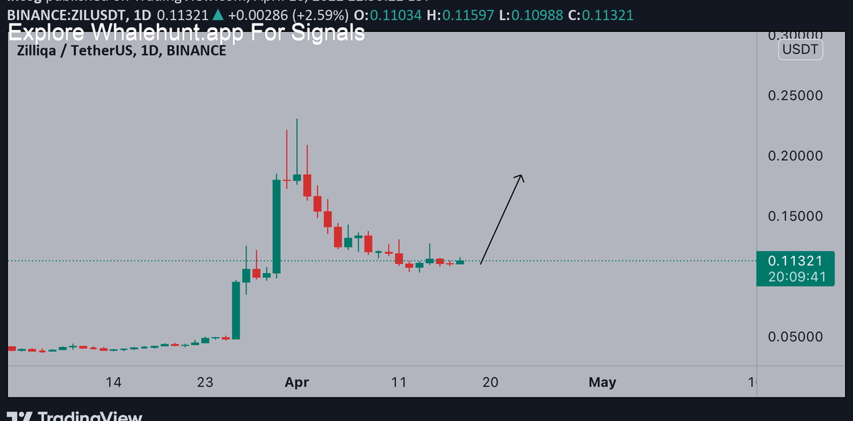 NatalDormer's tweet photo. #ZIL It a healthy bullish structure on ZILUSDT chart , going long at least until up to 0.2 again 
 #ZILUSDT https://t.co/zbMZ7eZ81L