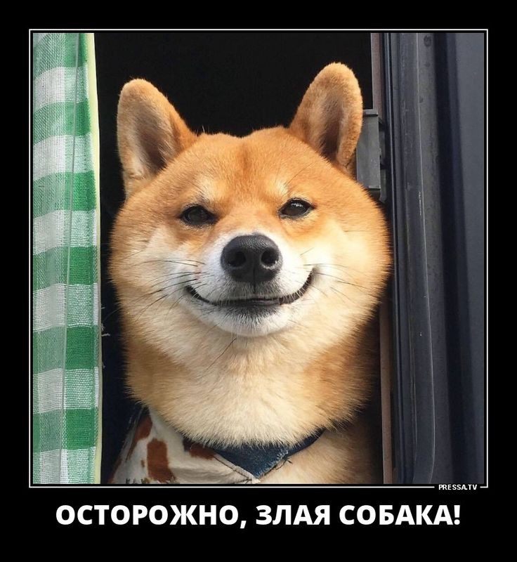 ⚠ВНИМАНИЕ!!!⚠
⚠ПРЕДУПРЕЖДЕНИЕ!!!⚠