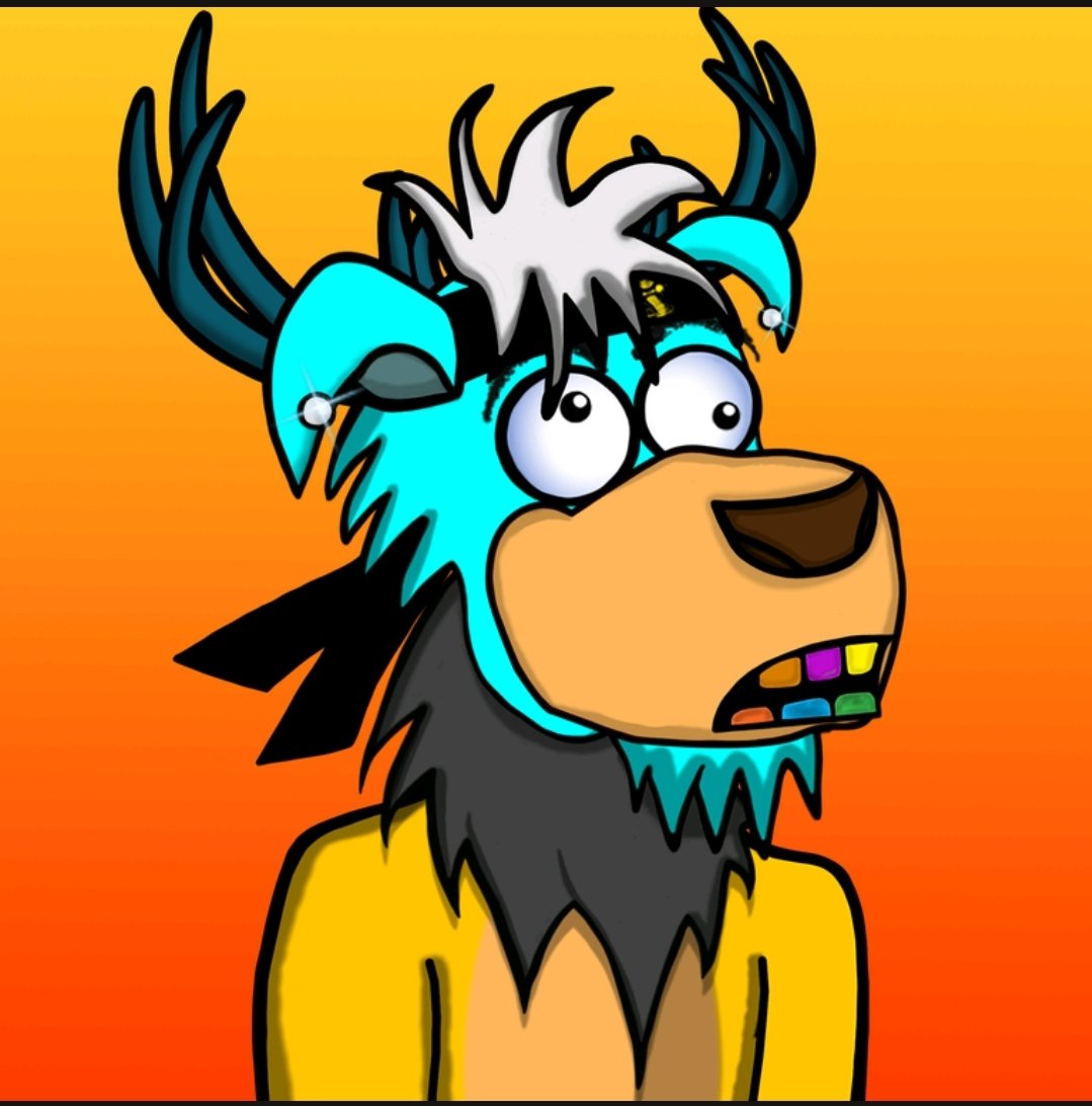 Loco Moose Club 🐮 tweet media