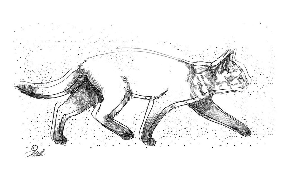 <a href="/jf_nft/">Jason Falovitch is now @jfx</a> <a href="/sergoldape/">Ser</a> opensea.io/assets/0x495f9…