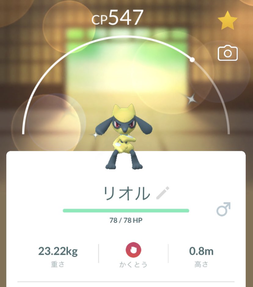 Morupoke5's tweet photo. ฅ(º ﾛ º ฅ)ｵｫｯ!💛💙 https://t.co/bXntFDWJ0i