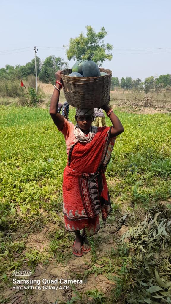 #LakhpatiKisan power led by the women institutions, the members ensuring repayment of loans on time for livelihood, this being enabled through the High value crops, livestock integration with #technology of #renewableenergy #drip <a href="/RNTata2000/">Ratan N. Tata</a> @IKEAFoundation <a href="/SustainPlusSDG7/">SustainPlus</a>
