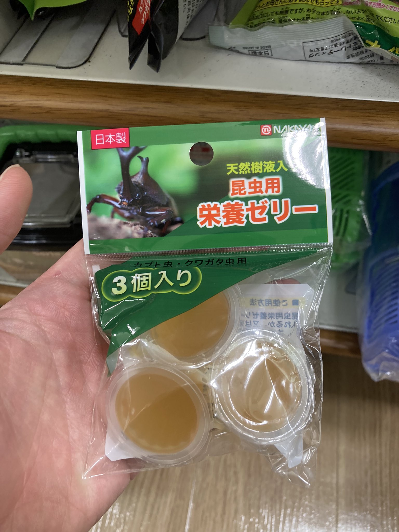 𓆣もこ𓆣 Mokorin64 Twitter