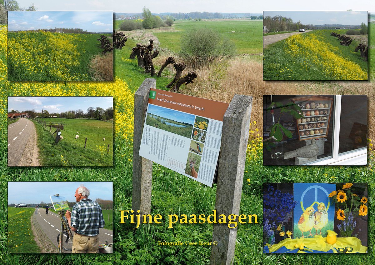 Mooi geworden.#goedemorgen