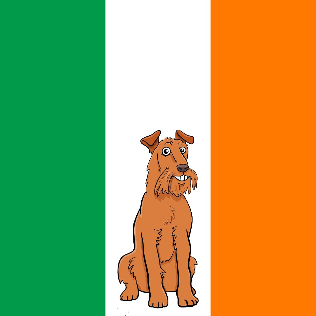 cryptodognation tweet media