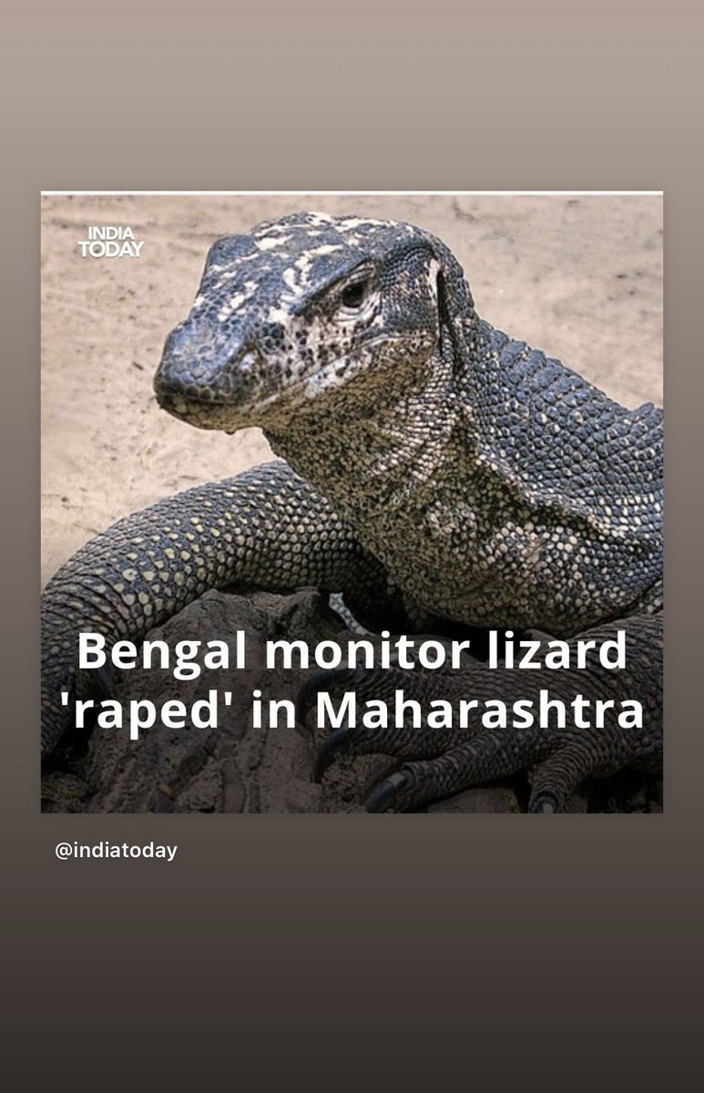 boleybubbles's tweet image. Since some of y’all wanted context.. #animalabuse #gangrape #india