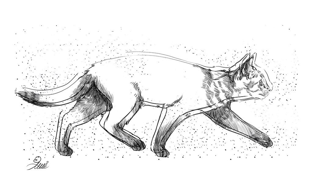 <a href="/nftfreaks/">NFT Freaks 🗝️🏰🦸🏿‍♂️</a>