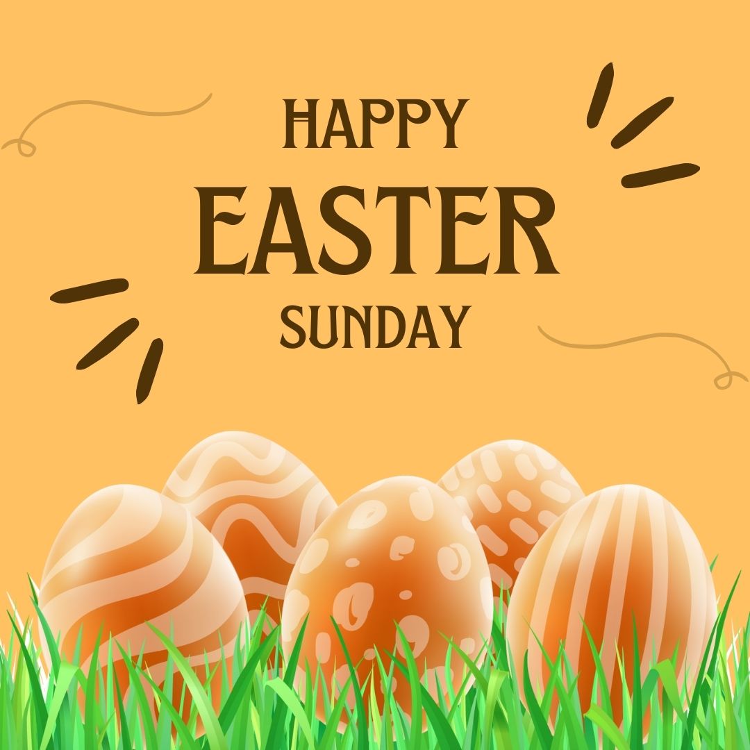 We wish you and your family a Happy Easter Sunday! 🧡🐣🐰