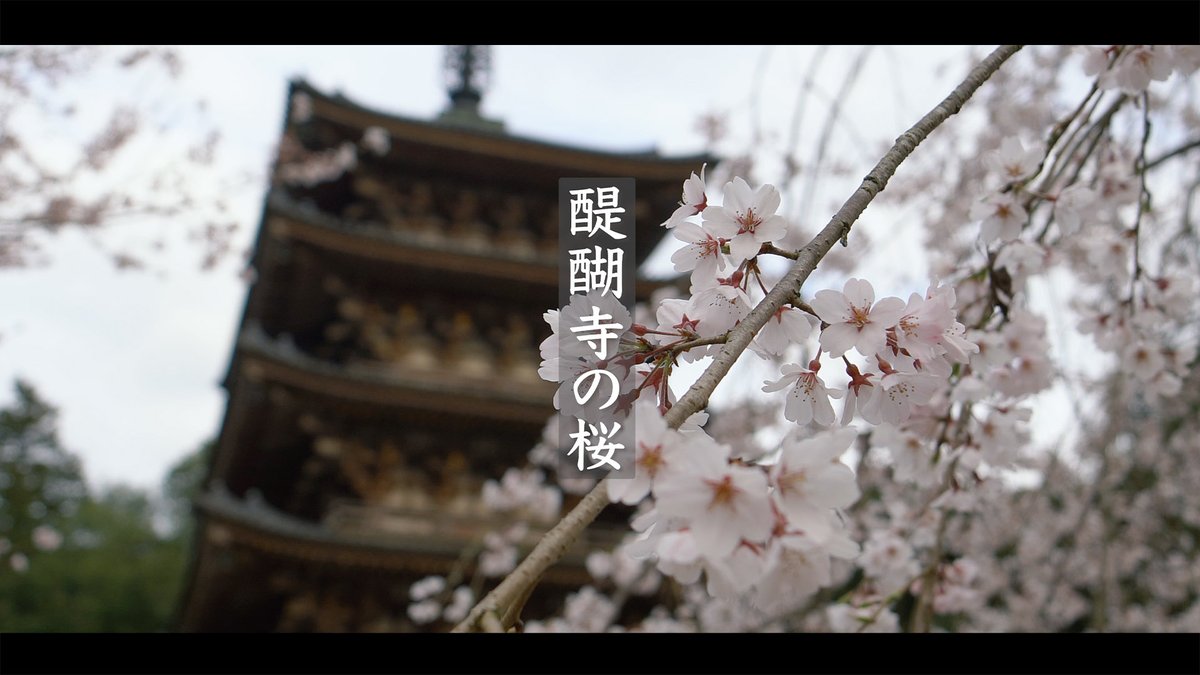 Cranem3 Twitter Search Twitter