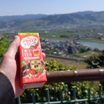 ツイートに含まれる画像