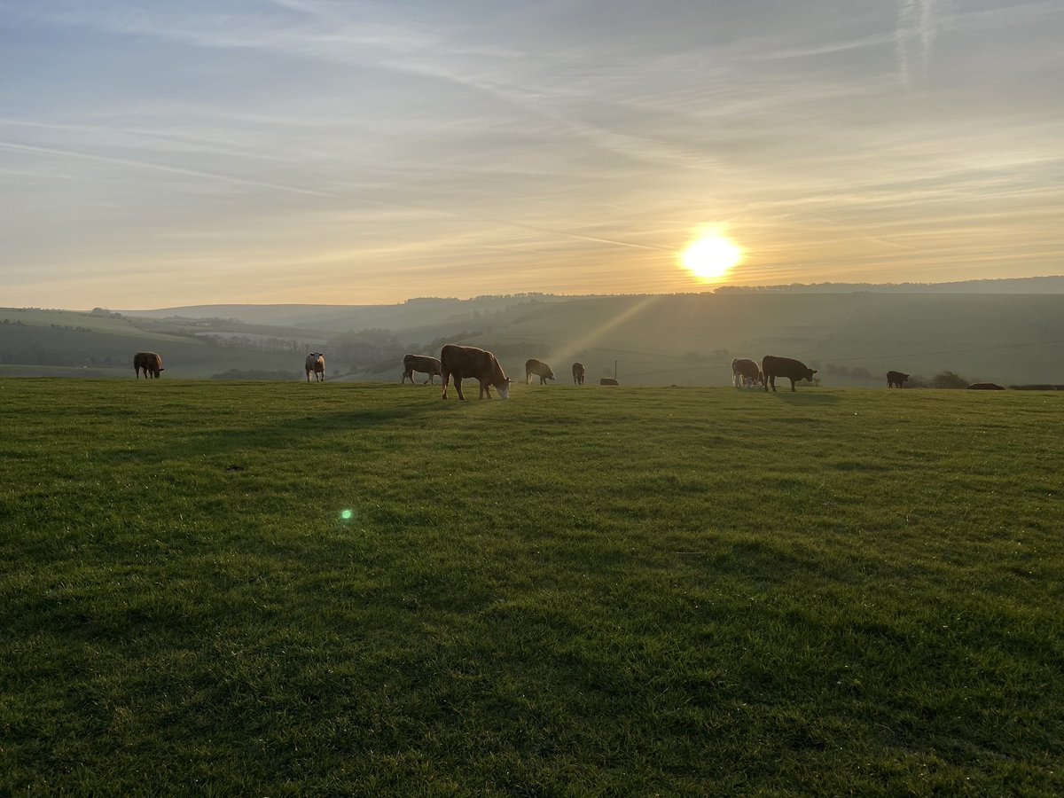 Good morning #SouthDowns #Brighton