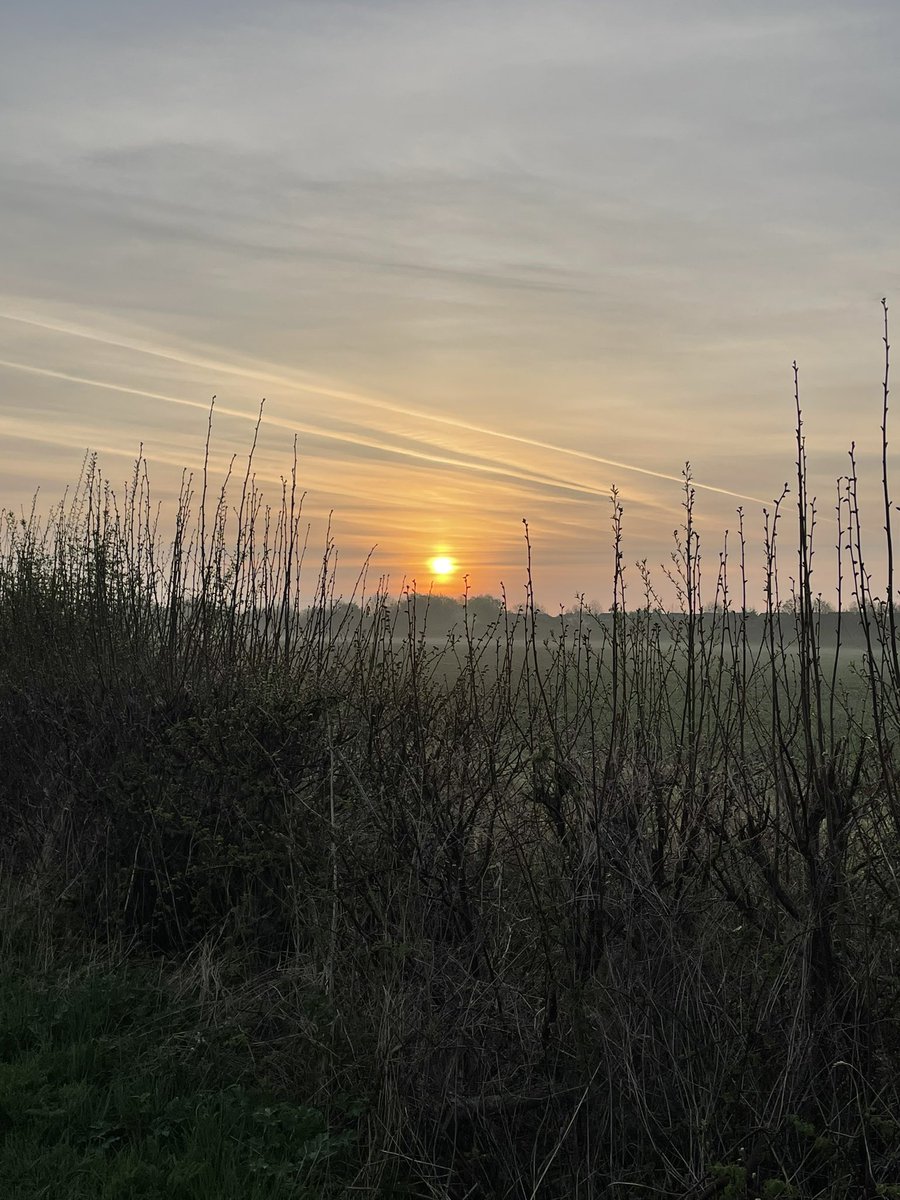 Alleluia, He is risen