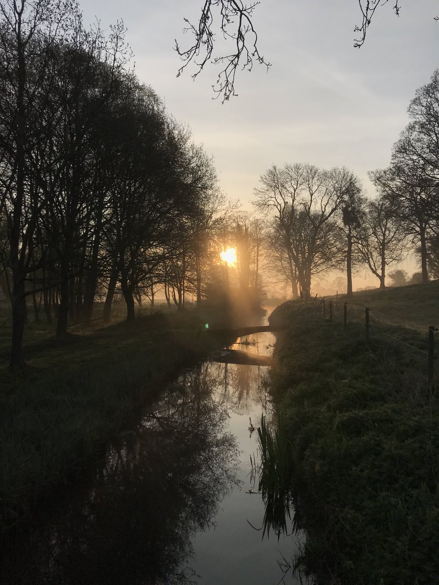 The sun has risen over the River Mermaid after the sunrise service at Burgh-Next-Aylsham