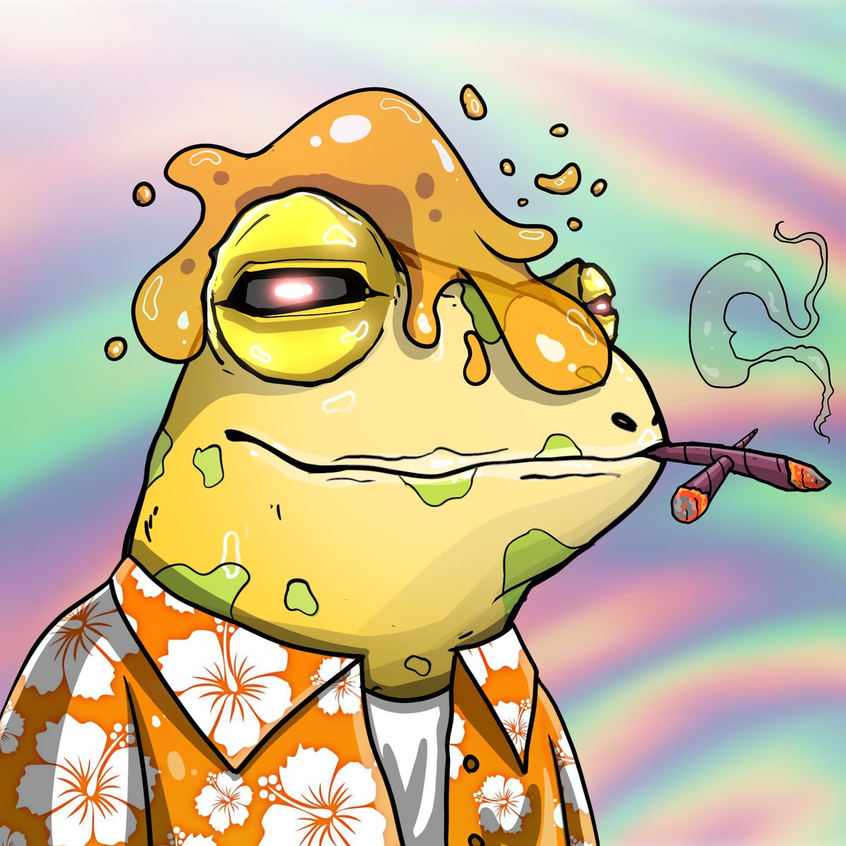 The Stoned Frogs tweet media