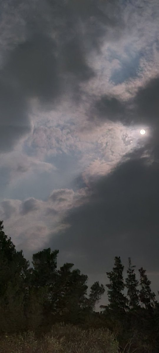 Disfrutando.. con una copa de vino