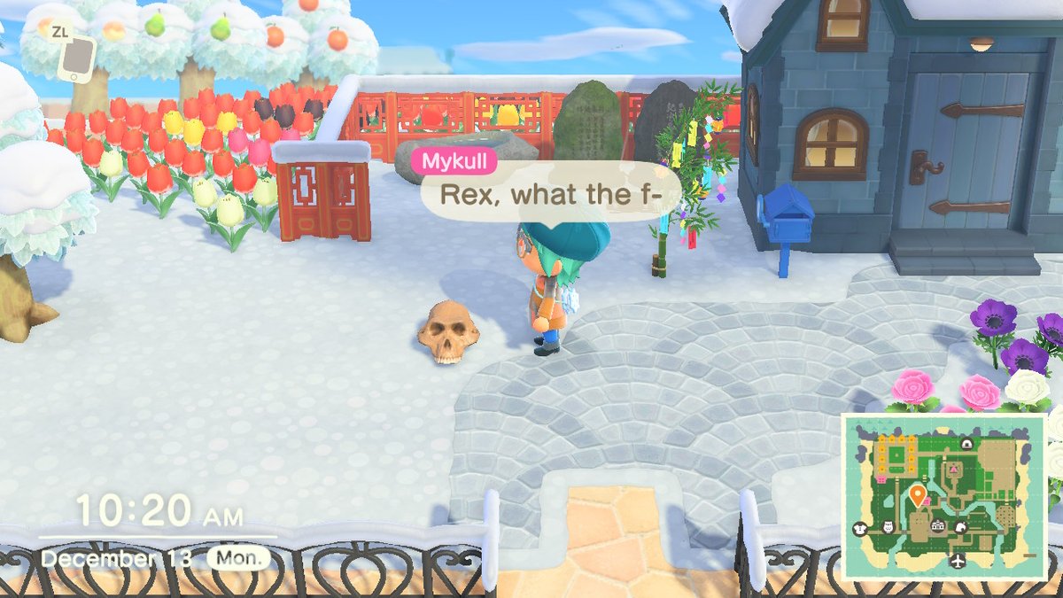 MusicDragon42's tweet photo. Context: Rex sent a letter saying he 'found it under his bed'. It does explain all the bugs, though... #AnimalCrossing #ACNH #NintendoSwitch https://t.co/dkyI0RW4hm