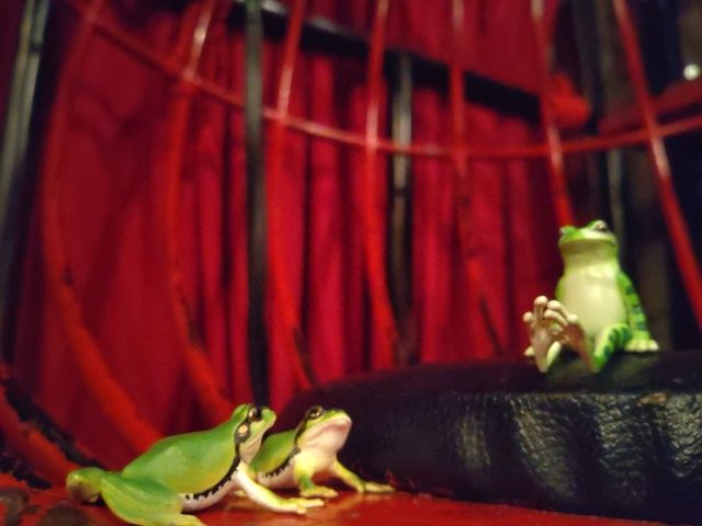 世良　睦@Jail tweet media