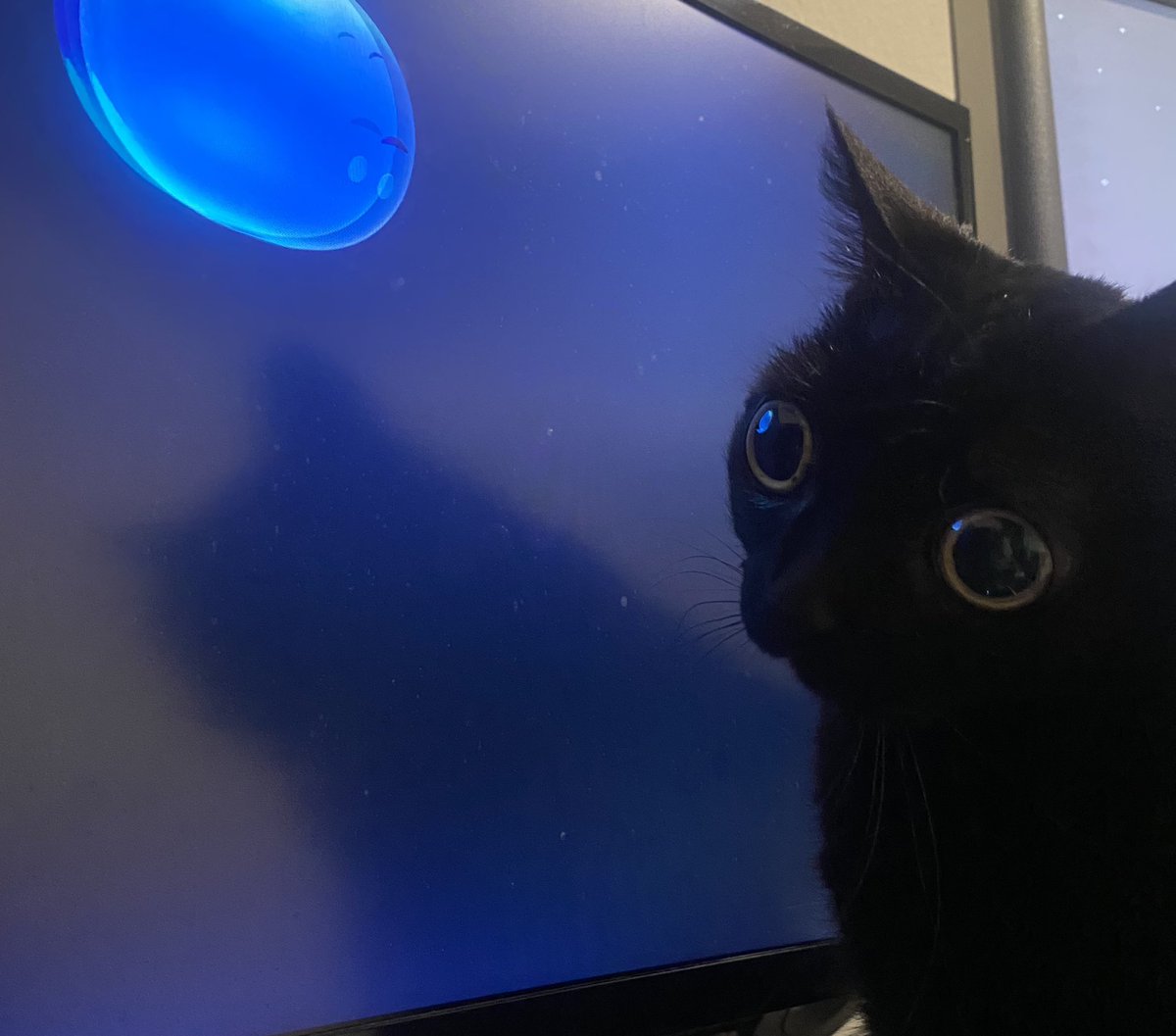 bigfootjinx's tweet photo. JINX I SAID NO MORE SCREEN TIME! https://t.co/ZXSo00Wdyz