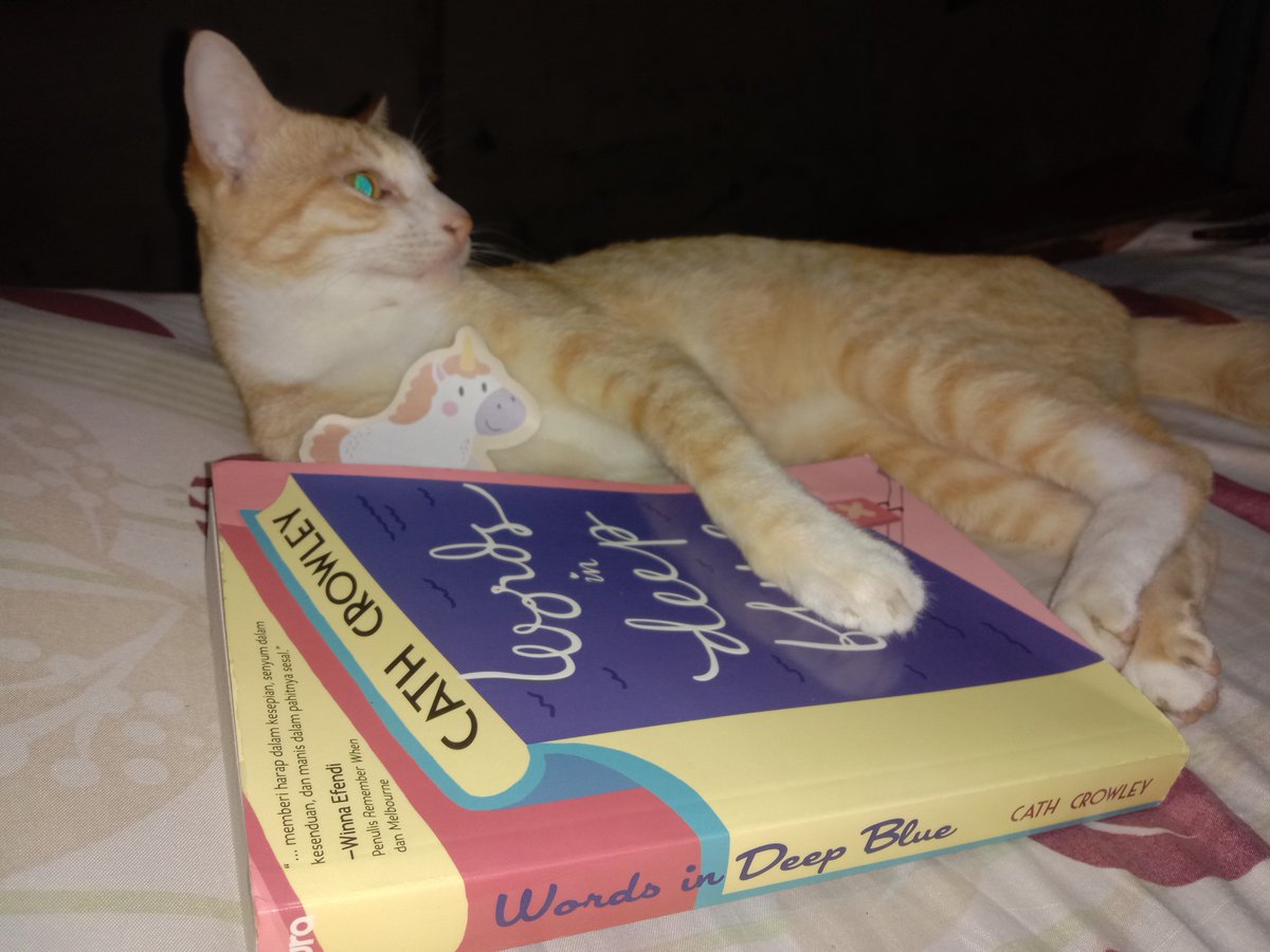 elyah27's tweet photo. Current read : 
Words in Deep Blue - Cath Crowley

#wordsindeepblue
#CathCrowley
#NouraPublishing
#Noura https://t.co/9okfEhIlqI