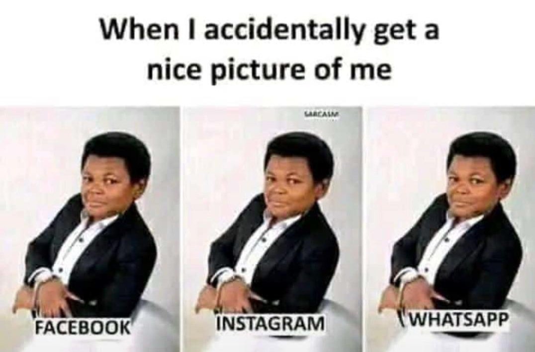 1️⃣ne 🟠🪙 tweet media