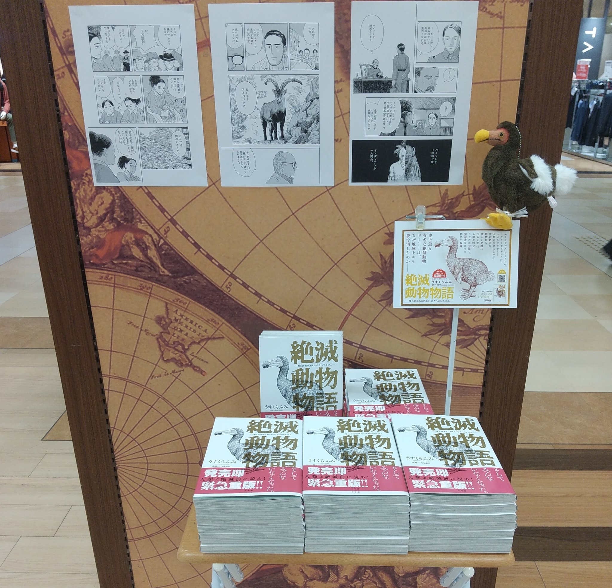 アカデミアくまざわ書店すみのどう店 オススメ本 絶滅動物物語 人類よ絶滅前に読め 人間のエゴ によって死に絶えた動物たち 彼らが絶滅に至るまでに 人間が何をしたのかを描く 無慈悲な8つの物語を収録 ドードーちゃんもいます 当店へお