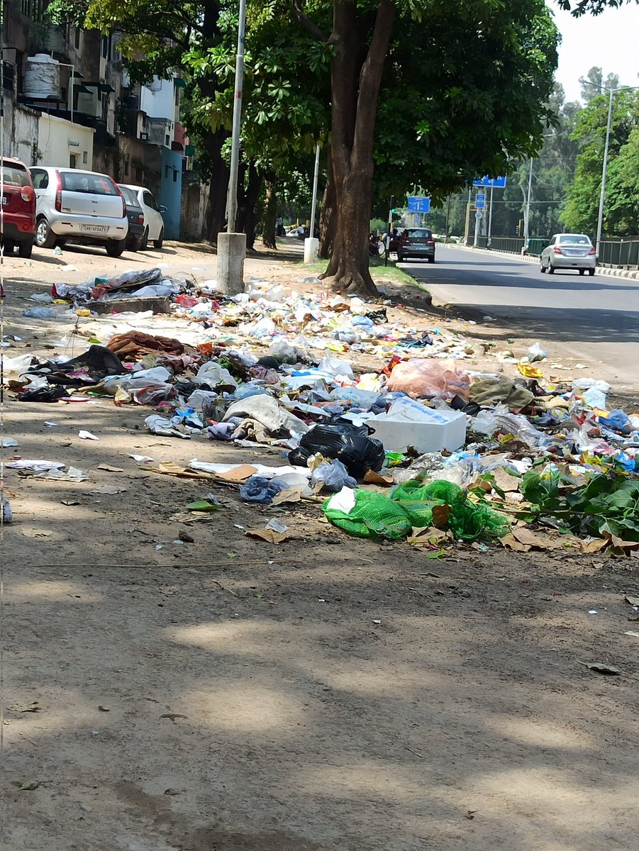 Monikalearner's tweet photo. Fabulous! @MCChandigarh, i got to know that this area was cleaned yesterday ,though today it could not be cleaned due to Sunday's holiday.
I believe the residents of this area needs to be educated. Could you please arrange Dustbin here. @chandigarh_admn 
@weRchandigarh https://t.co/PEPv7EY5px