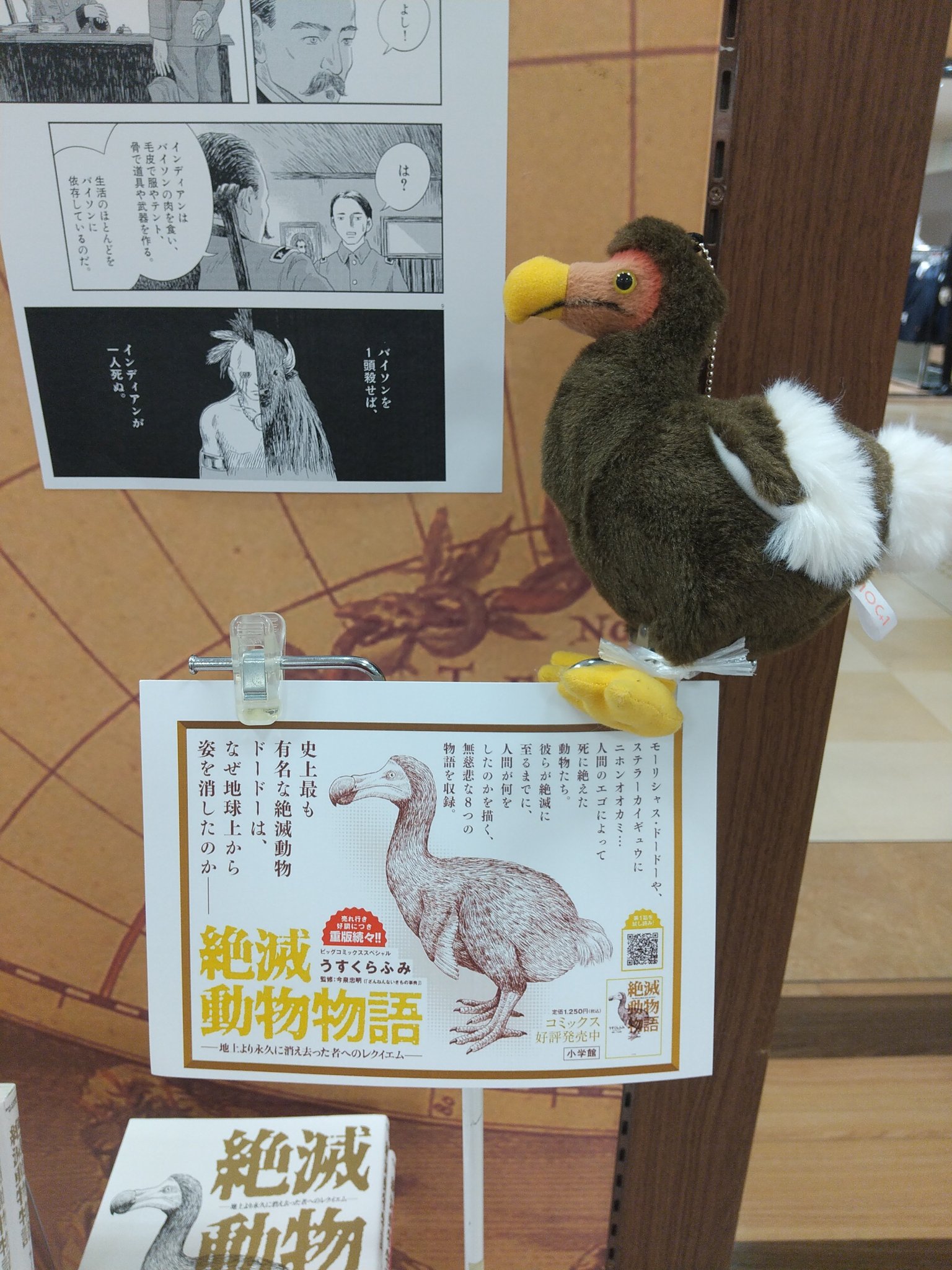 アカデミアくまざわ書店すみのどう店 オススメ本 絶滅動物物語 人類よ絶滅前に読め 人間のエゴ によって死に絶えた動物たち 彼らが絶滅に至るまでに 人間が何をしたのかを描く 無慈悲な8つの物語を収録 ドードーちゃんもいます 当店へお