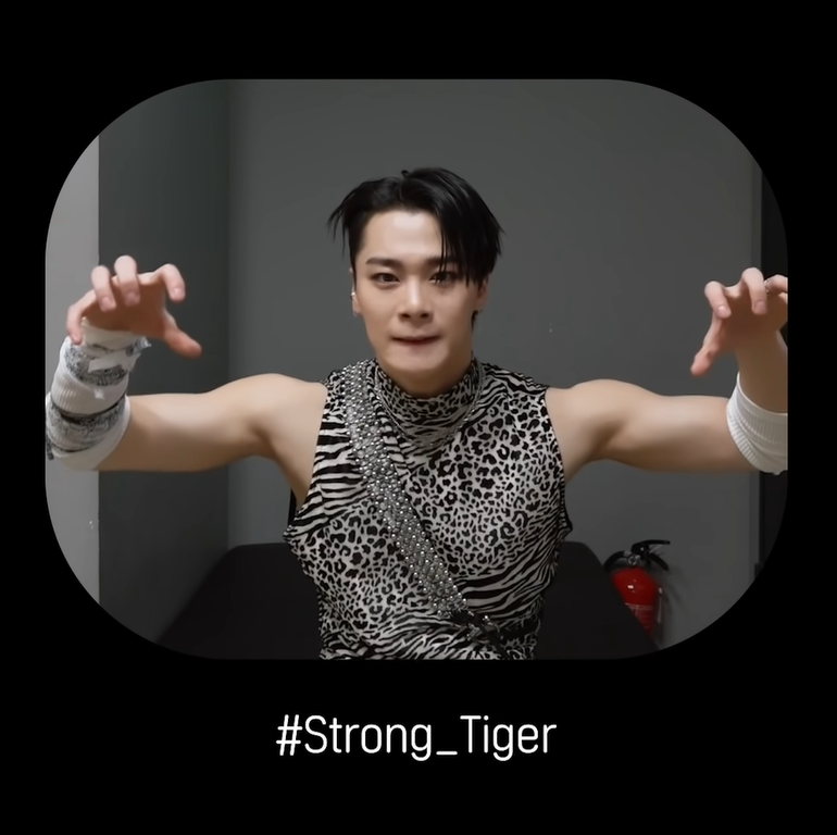 cmastroha's tweet photo. Here are the three types of tigers by MOONBIN. 
What do you think best suits him?🤔 https://t.co/aywDbpvOfL