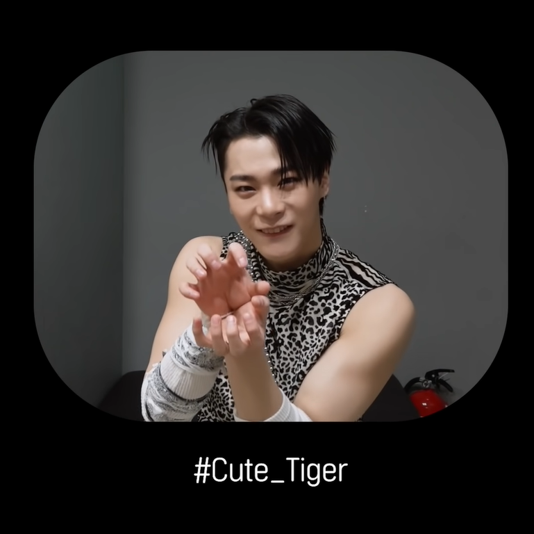 cmastroha's tweet photo. Here are the three types of tigers by MOONBIN. 
What do you think best suits him?🤔 https://t.co/aywDbpvOfL
