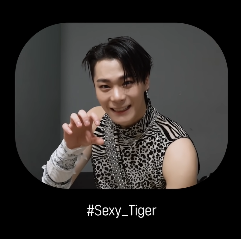 cmastroha's tweet photo. Here are the three types of tigers by MOONBIN. 
What do you think best suits him?🤔 https://t.co/aywDbpvOfL