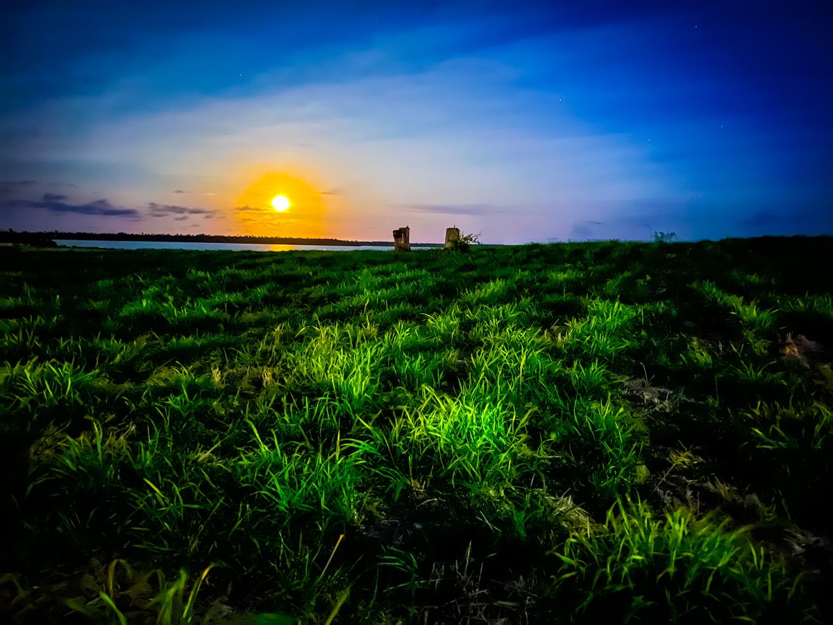 SiaUhilaAngilau's tweet photo. Full moon on the way back home this Easter Sunday. Had to stop &amp; snap a shot 🥰🇹🇴🙏🏽 https://t.co/ichB0HvIjs
