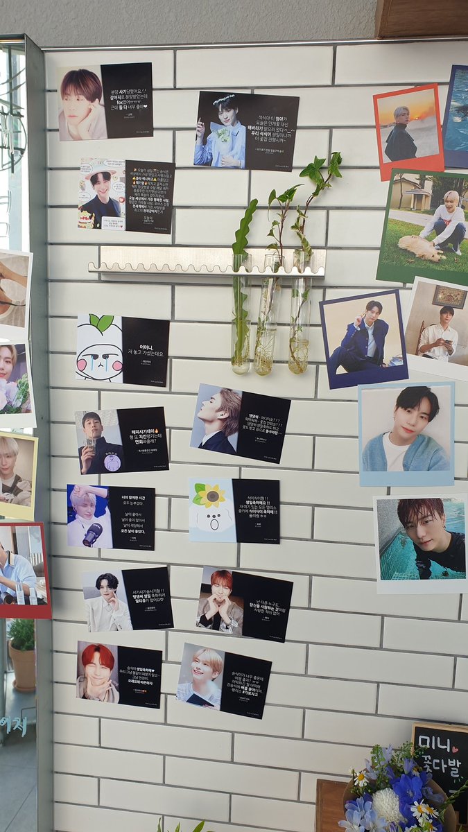 #나의햇살나의사랑승식이의생일을축하하며오늘도채워지는추억의한페이지
#졸라섹시해 #핵기염
#victon
늦었지만 
승식아 생일축아해~♡
그리고
이런 예쁜 꽃 💐 이벤트를 해주셔서 감사합니다.
🌷 너무 예뻐요~.