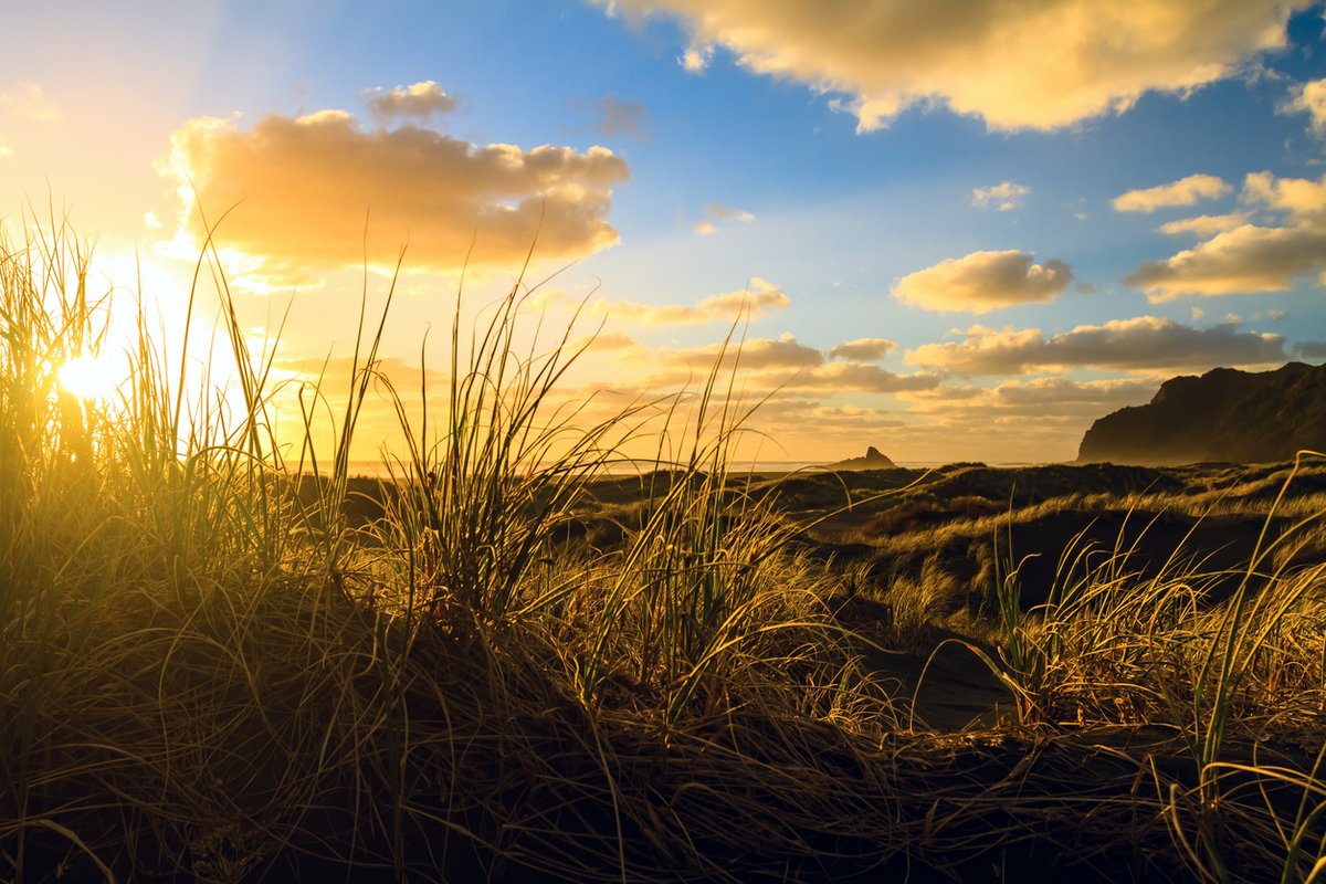 ANTIPODEAN EASTER
A burning sky lends time a pause,
Stillness--waiting--sunset shores.
Look, the circling birds up high,
Seek shelter for the nighttime vigil,
And on the skyline a lone hare, watching for the moon,
When will his time come? Surely soon.

troubador.co.uk/bookshop/roman…