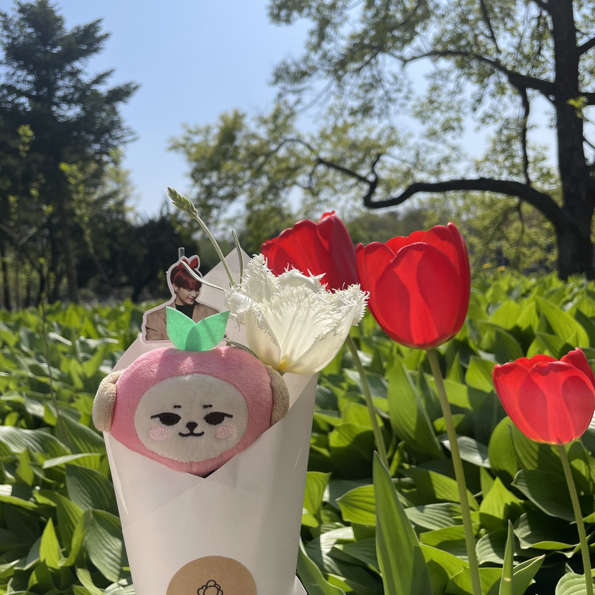 [22.04.17 승식생카투어-플라워림]
꽃못살까봐 슝슝갔던 꽃집🌻😭
다른튤립이었지만 너무예쁘다아!!뀨는 못봤는데 승식이가 뀨😘
아쉬운대로 내가 아는 튤립이랑 같이 찍었는데 활짝핀거 무슨일이야🌷
#나의햇살나의사랑승식이의생일을축하하며오늘도채워지는추억의한페이지 #졸라섹시해 #핵기염