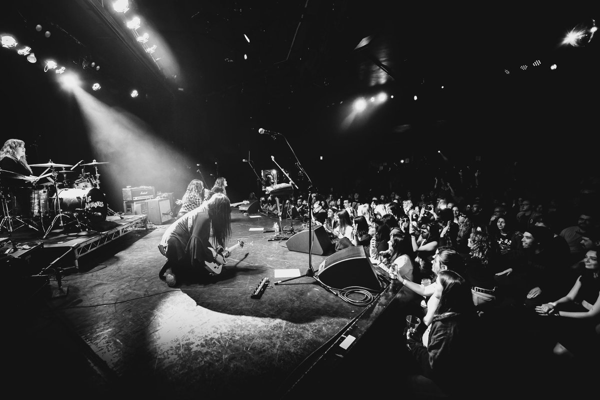 wow this one was so much fun. shot @WeAreHoityToity last night and they were incredible 🔥