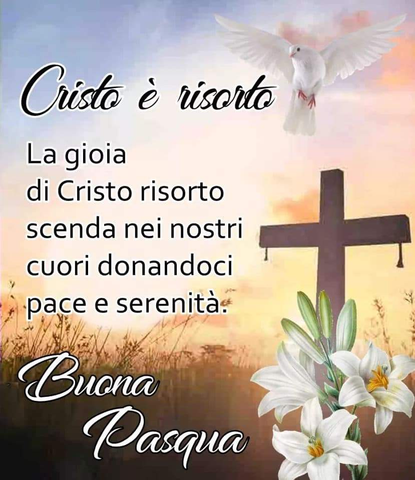 Vincenzo (@simonettivince1) on Twitter photo 
