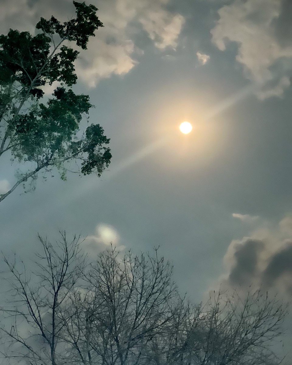 Aquí les comparto mi #LunaRosa 🌕

Ya hicieron alguna petición en especial? 💫

Compártanme su mejor foto de la luna de hoy! 👇🏻
.
.
.
#pinkmoon #cuernavaca #primavera2022 #sabadodegloria