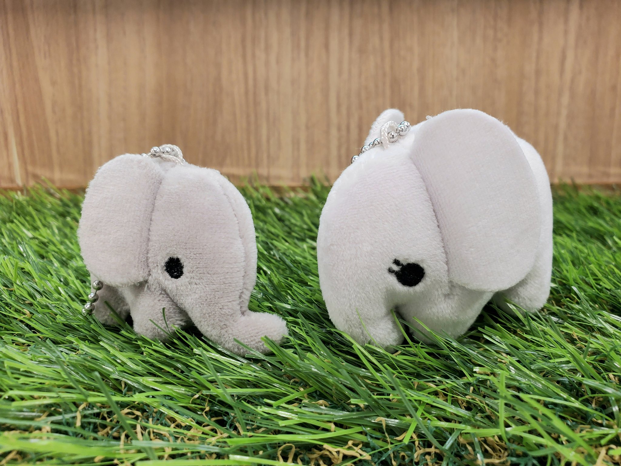 ぞうのぬいぐるみ Twitter Search Twitter