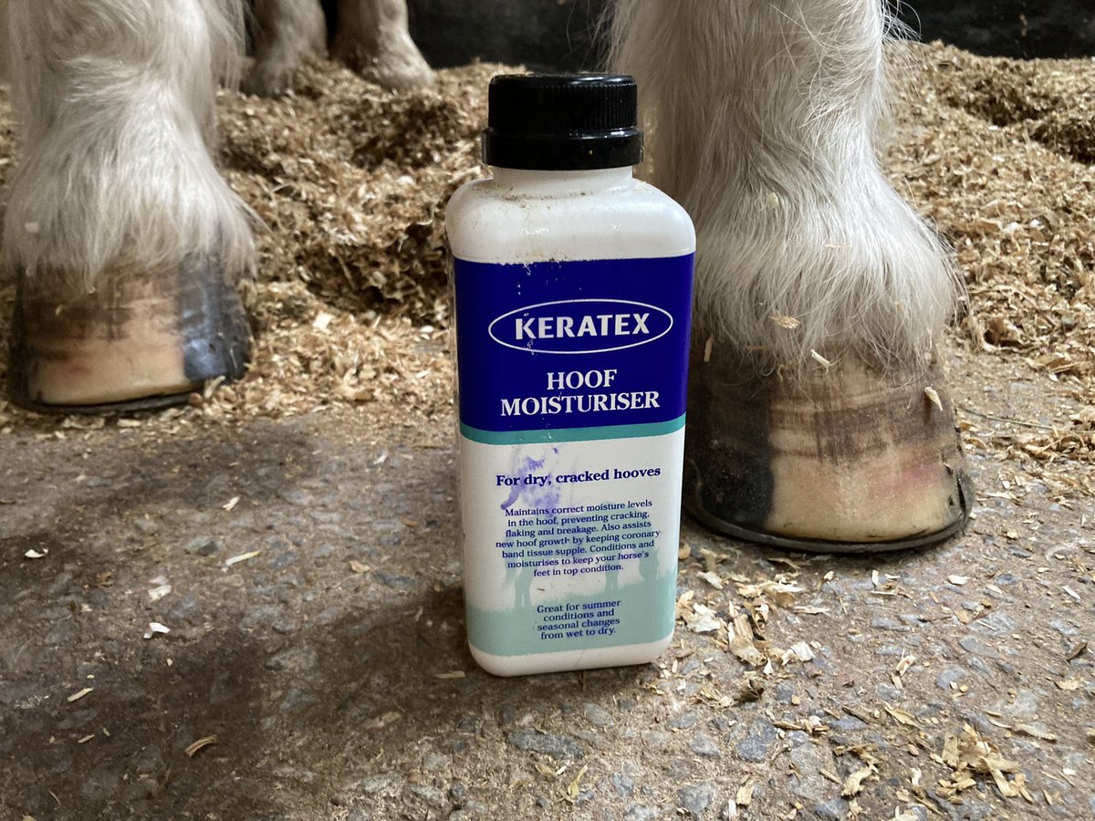 Loving using @keratex_equestrian Hoof Moisturiser in this warm weather. Keeping their hooves in tip top condition. 

It’s intelligent’ formula which works by restoring the correct moisture levels in the inside of the hooves & then maintaining this level for optimum hoof condition https://t.co/UWO2hi67qc